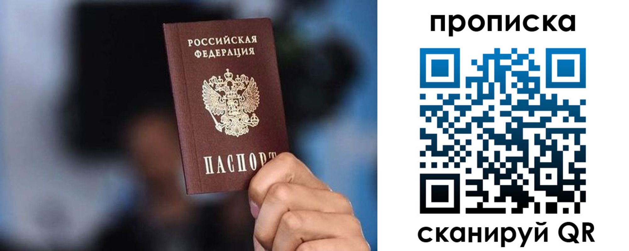прописка законно в Бийске